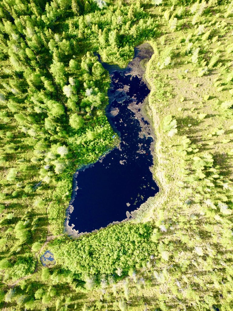 suomi_puuteollisuus